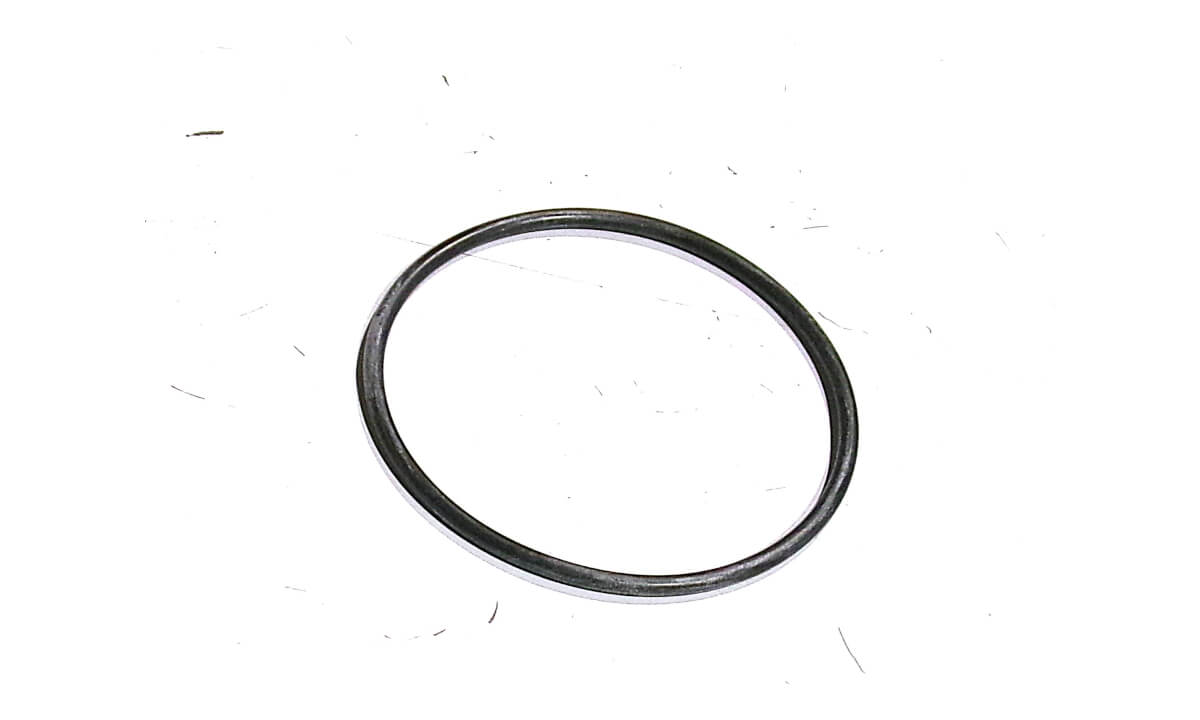 Bad Boy Part #121850-51960 - O-Ring, F/I Pump
