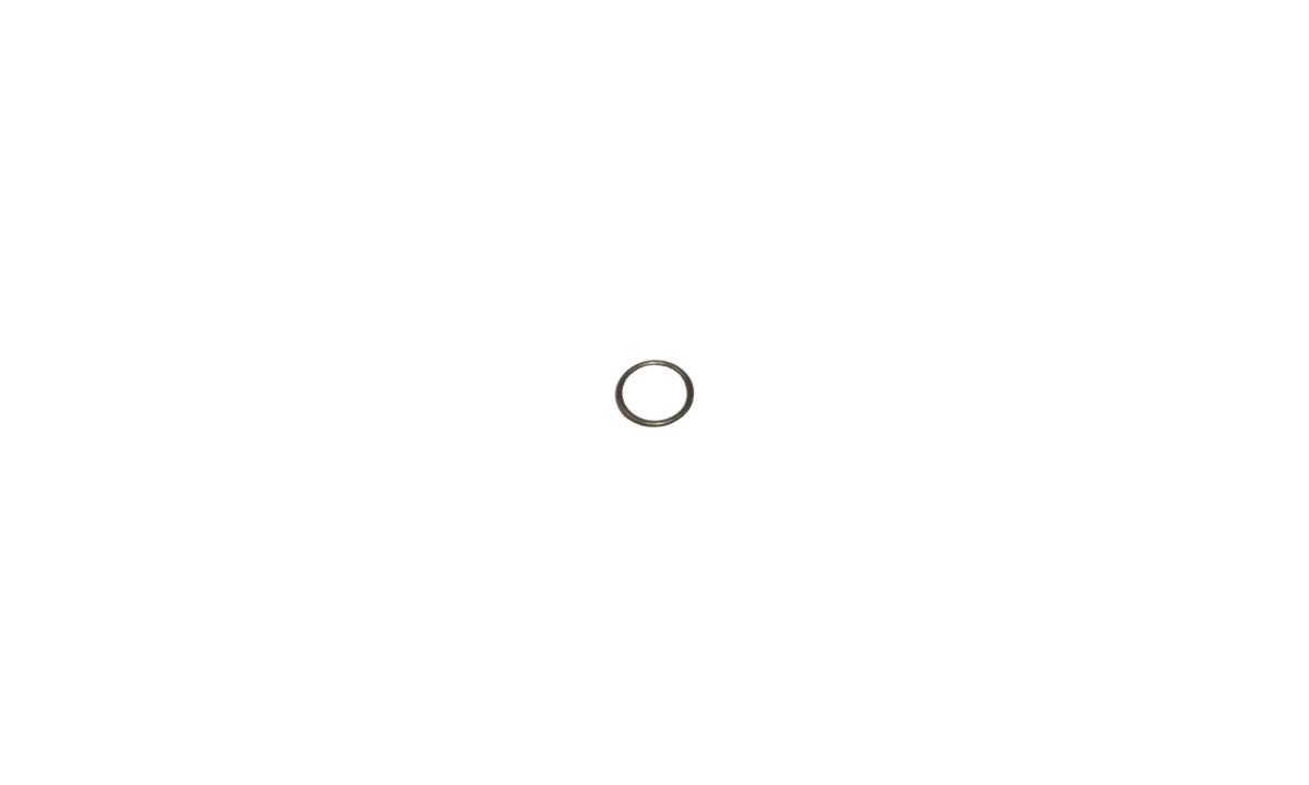 Bad Boy Part #129155-51580 - O-Ring