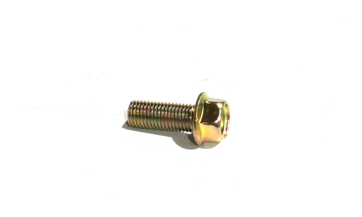 Bad Boy Part #26136-100252 - Screw, Hex Flange Head Cap